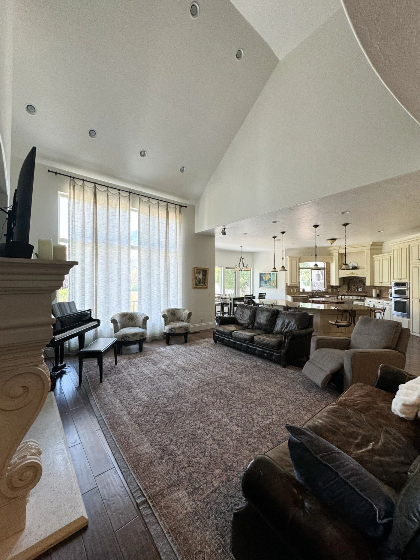 Living room with vaulted ceiling
